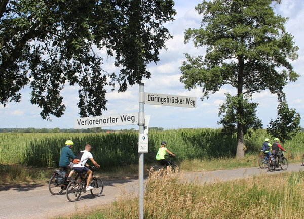img7375