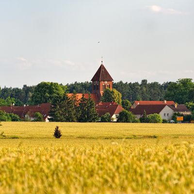 Idylle in Wensickendorf: Sommerlicher Blick über die Felder auf die Dorfkirche