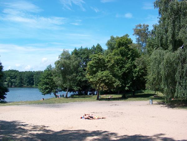 Am Weißen Strand auf der Lehnitzer Seite des Lehnitzsees findet sich unter den vielen Bäumen immer ein lauschiges Plätzchen im Schatten.
