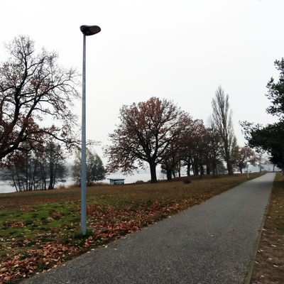 Der Radweg am Lehnitzsee ist zwischen Mainzer Straße und Hafen nun um 11 LED-Leuchten reicher.