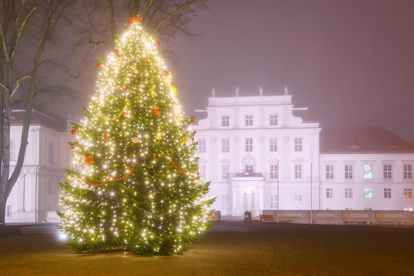 Weihnachtszauber auf dem Schlossplatz
