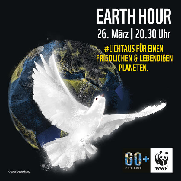 Earth Hour 2022 - Oranienburg ist dabei