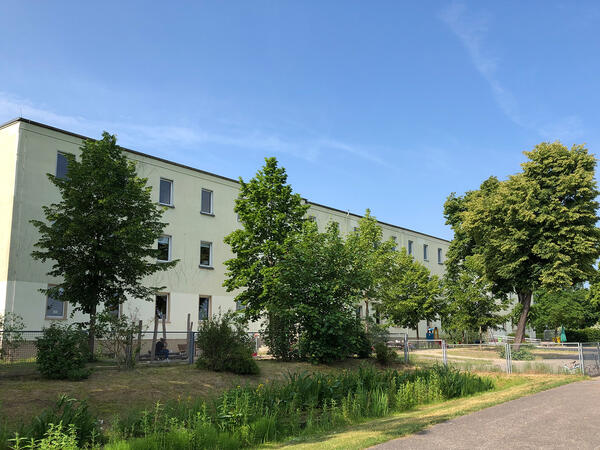 Die neue Grundschule Stadtmitte liegt im Schlosspark (das Foto ist vor der Schulgründung entstanden).
