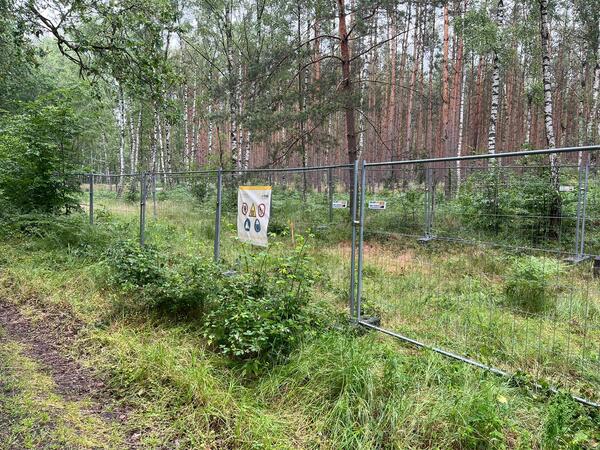 Defekte Gasleitung im Malzer Waldgebiet sdlich der L213: Das Betreten des Gefahrenbereichs ist streng untersagt